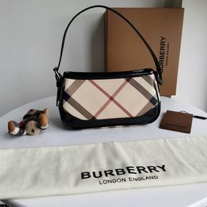 Burberry Handbags 210